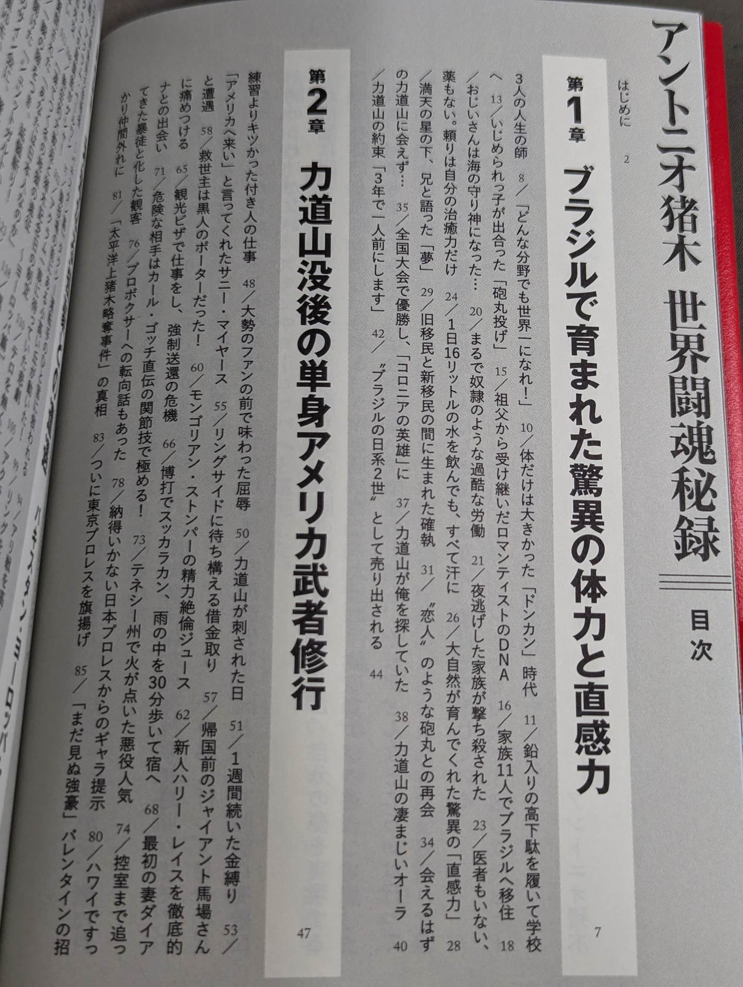 Antonio Inoki World Fighting Spirit Secret
