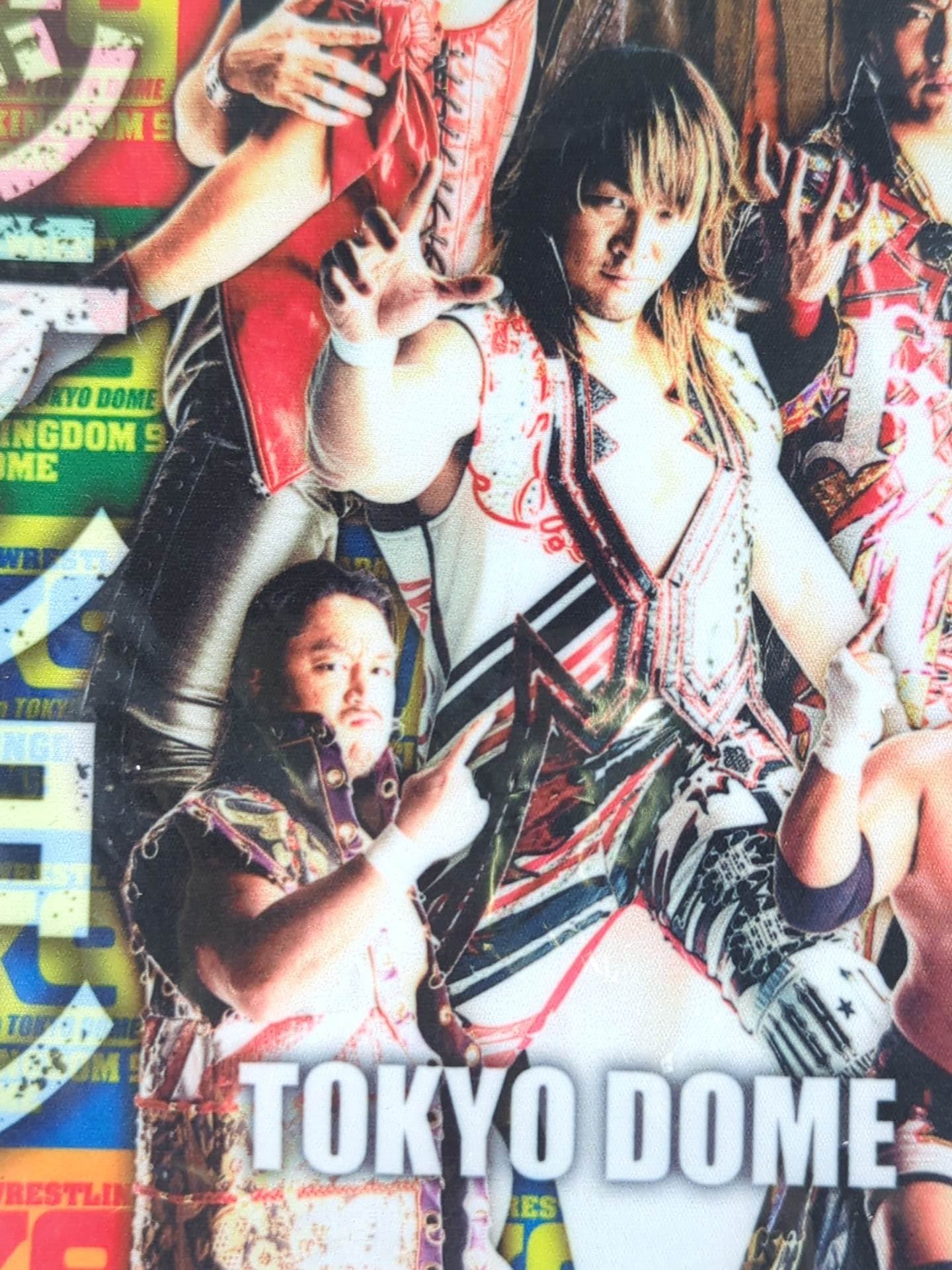 ★ not sold in stores ★ "WRESTLE KINGDOM 9" Microfiber Hand Towel