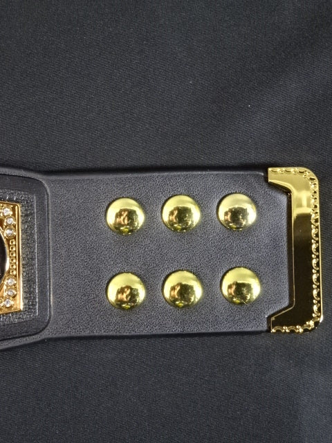 ★WWE SUPERSHOW 2025★ WWE Championship Belt