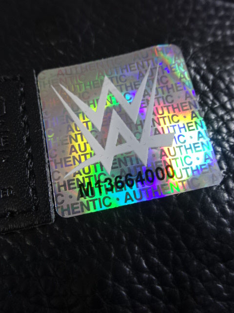 ★WWE SUPERSHOW 2025★ WWE Championship Belt