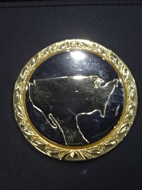 IWGP Heavy Weight Title Belt (first generation)