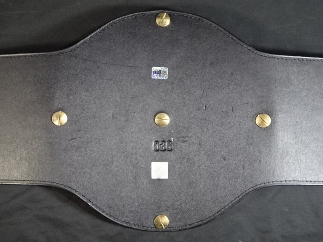 IWGP Heavy Weight Title Belt (first generation)