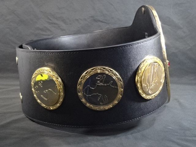 IWGP Heavy Weight Title Belt (first generation)