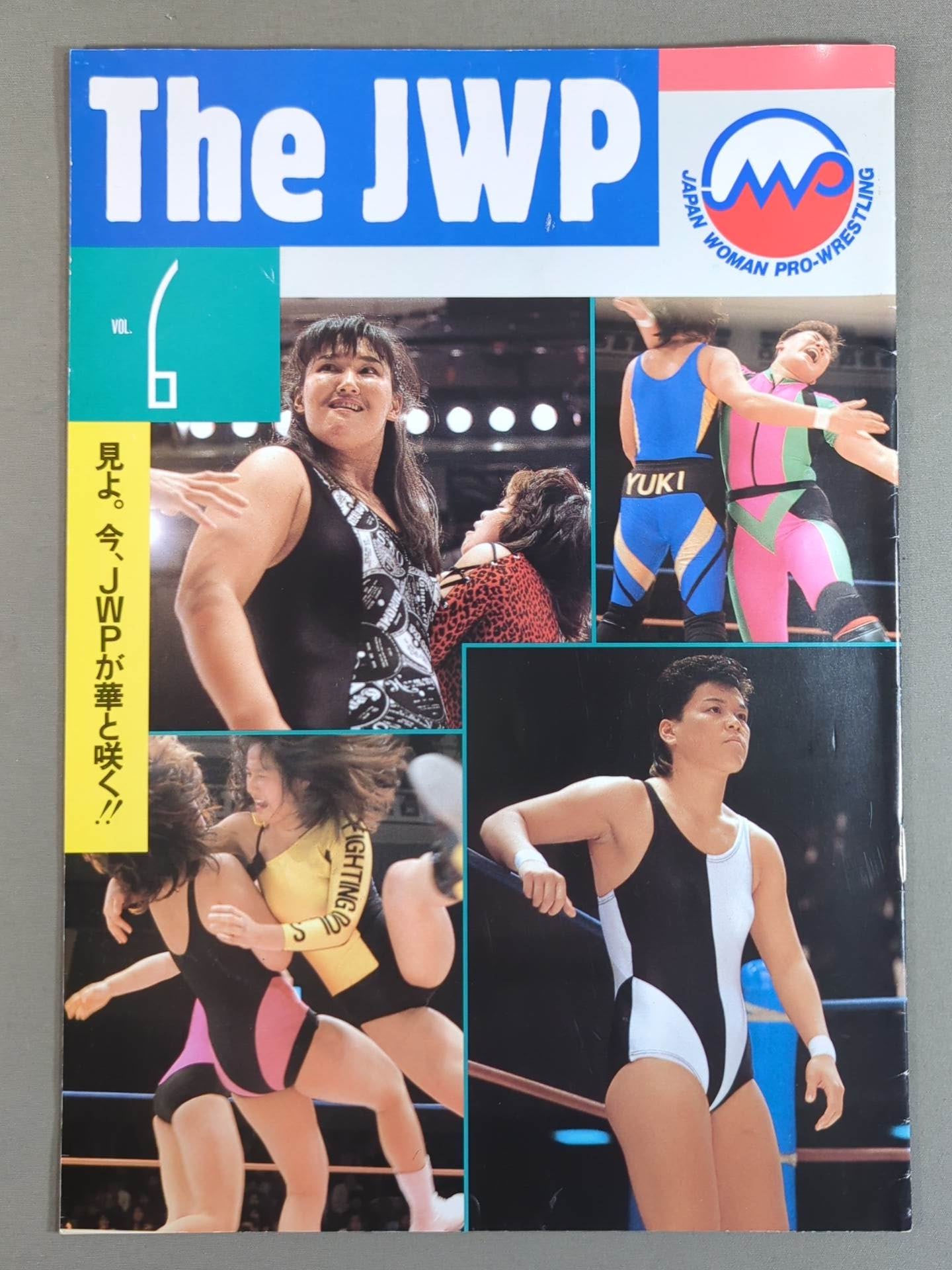 ジャパン女子プロレス / The JWP Vol.6 – 闘道館