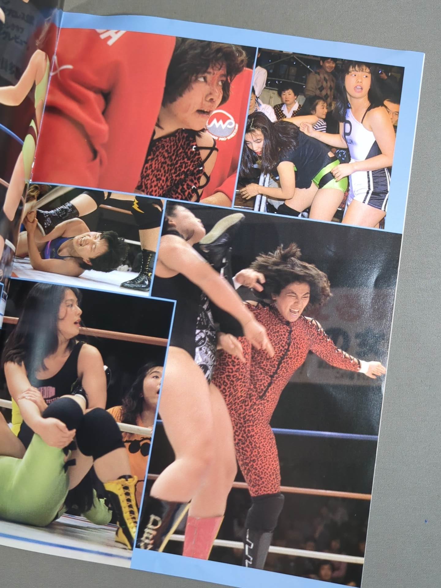 ジャパン女子プロレス / The JWP Vol.6