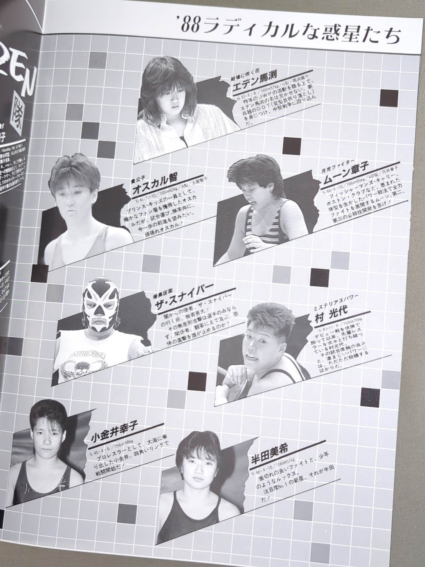 ジャパン女子プロレス / The JWP Vol.2
