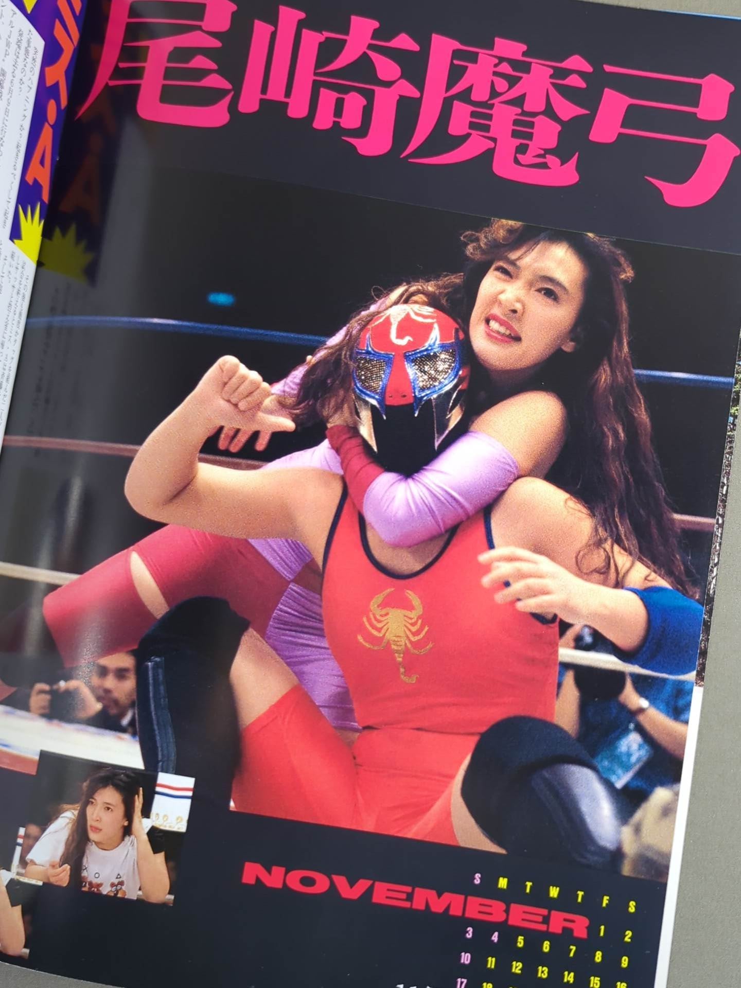 ジャパン女子プロレス / The JWP Vol.15