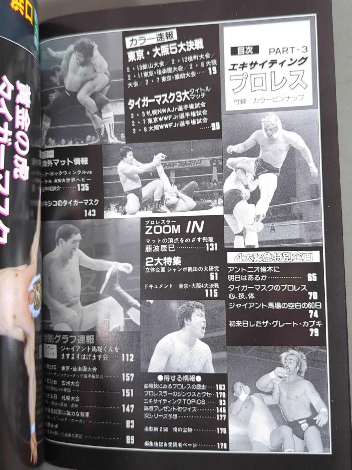 エキサイティングプロレス デラックス版PART-3