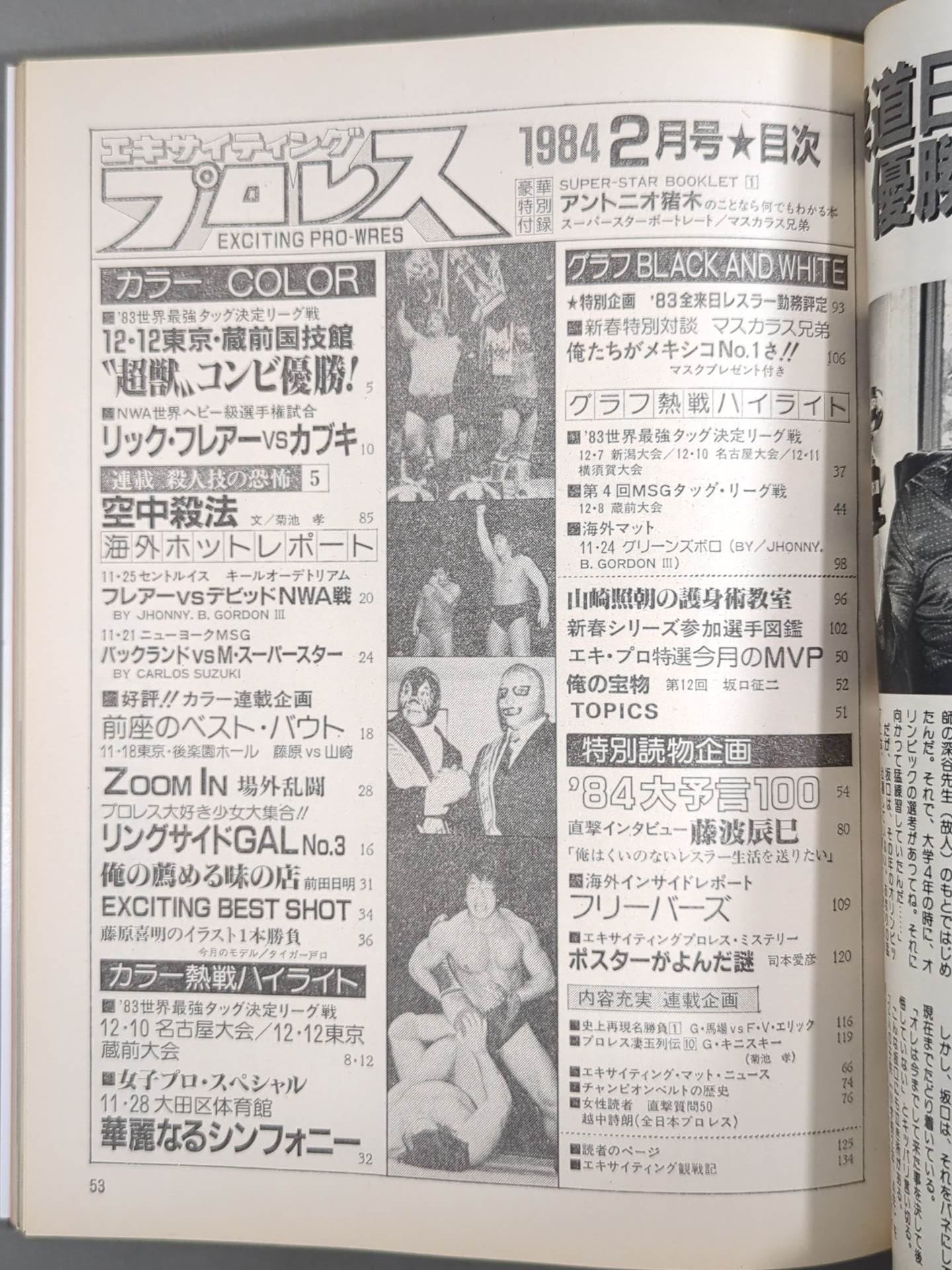 エキサイティングプロレス 1984年2月号