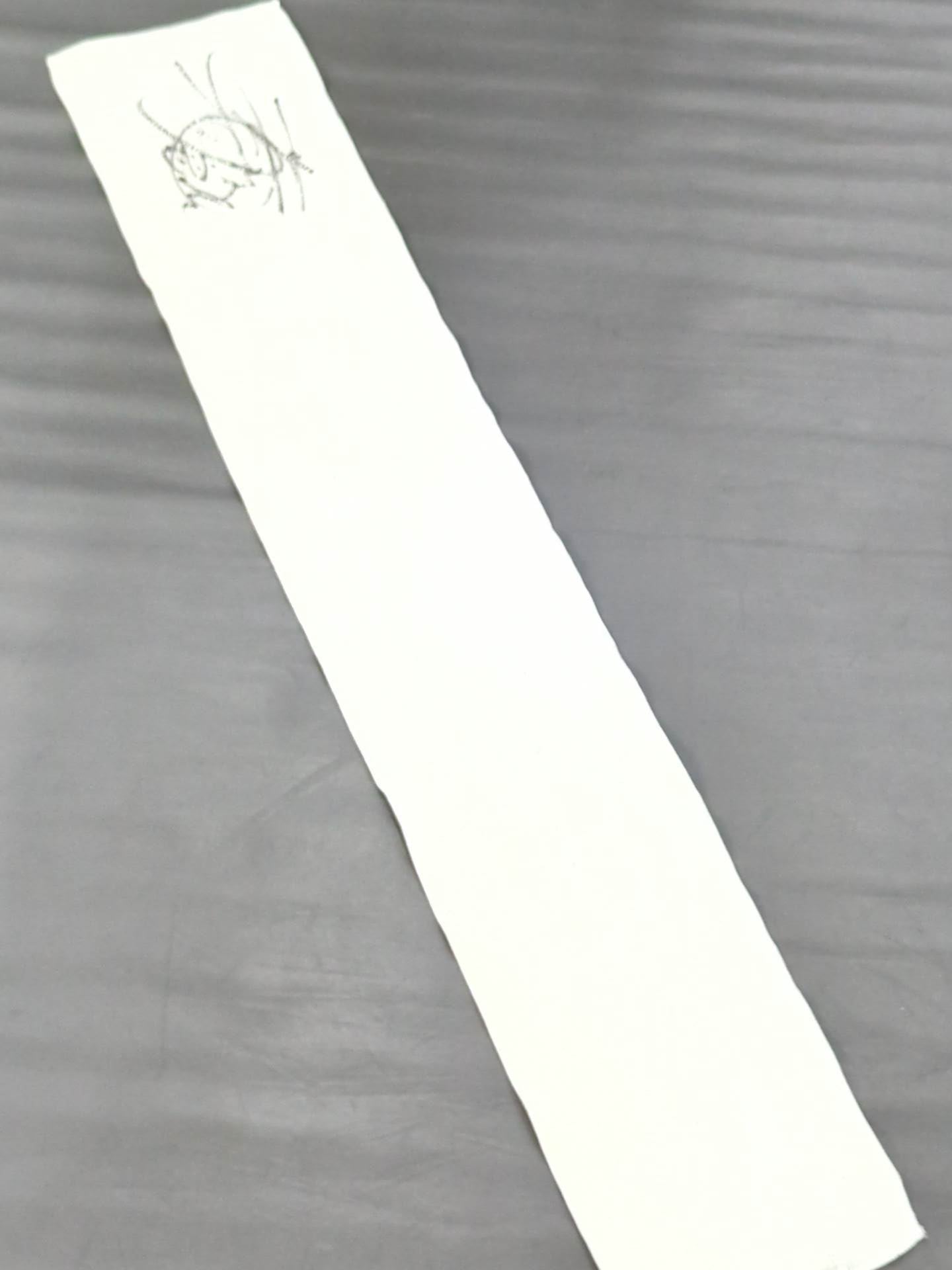 【Jun Kasai hand signed autograph 】 Jun Kasai Produced PAIN LIMIT 2011 Muffler Towel