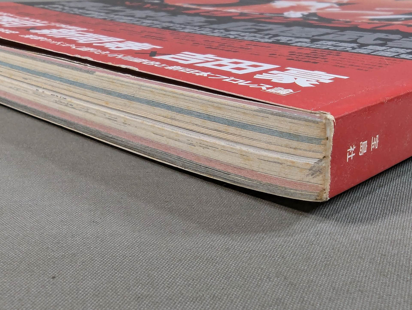 ターザン山本責任編集 新日本プロレス30周年 非公式ガイド SINCE1972~2002