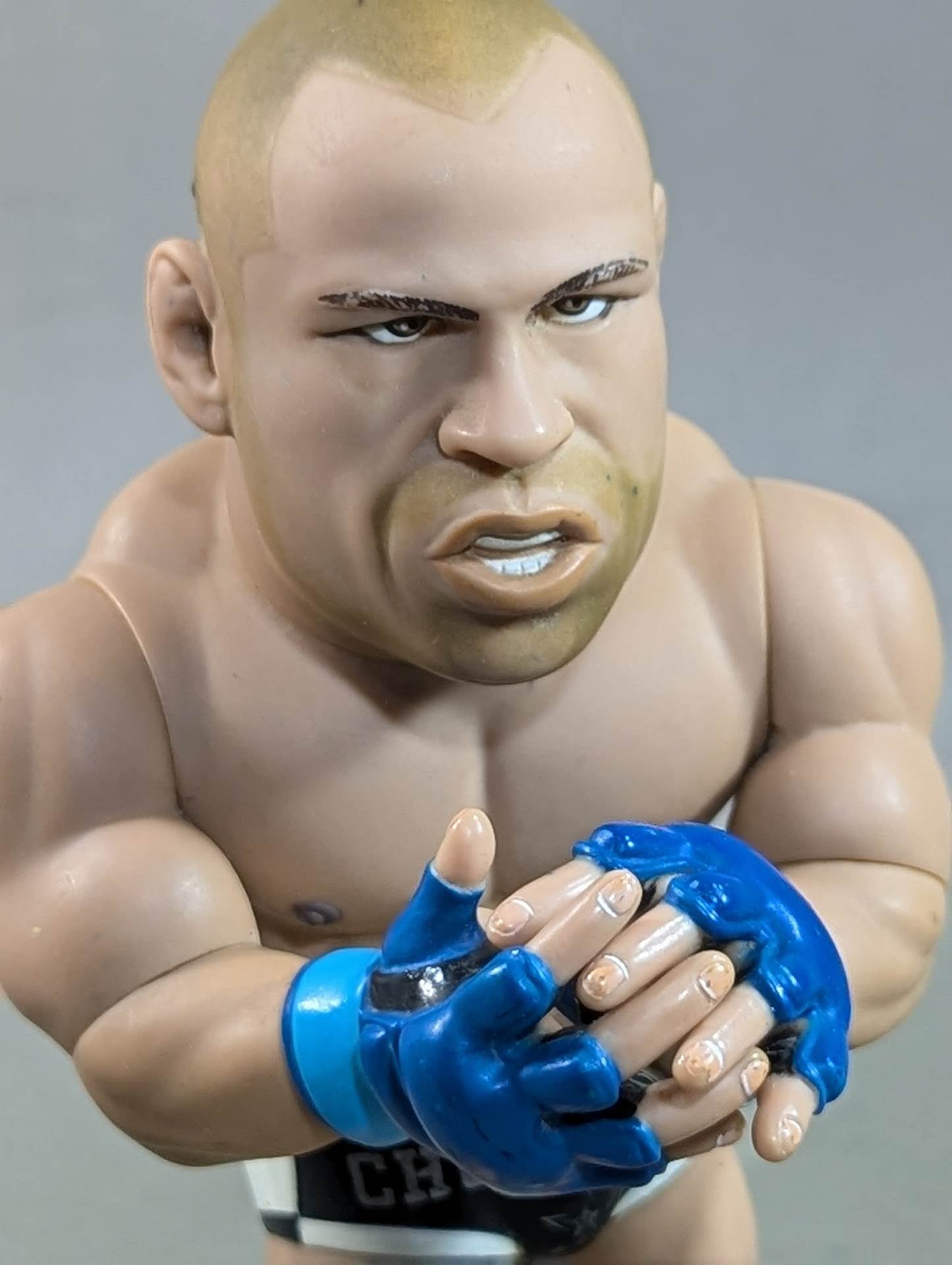 ヴァンダレイ・シウバ