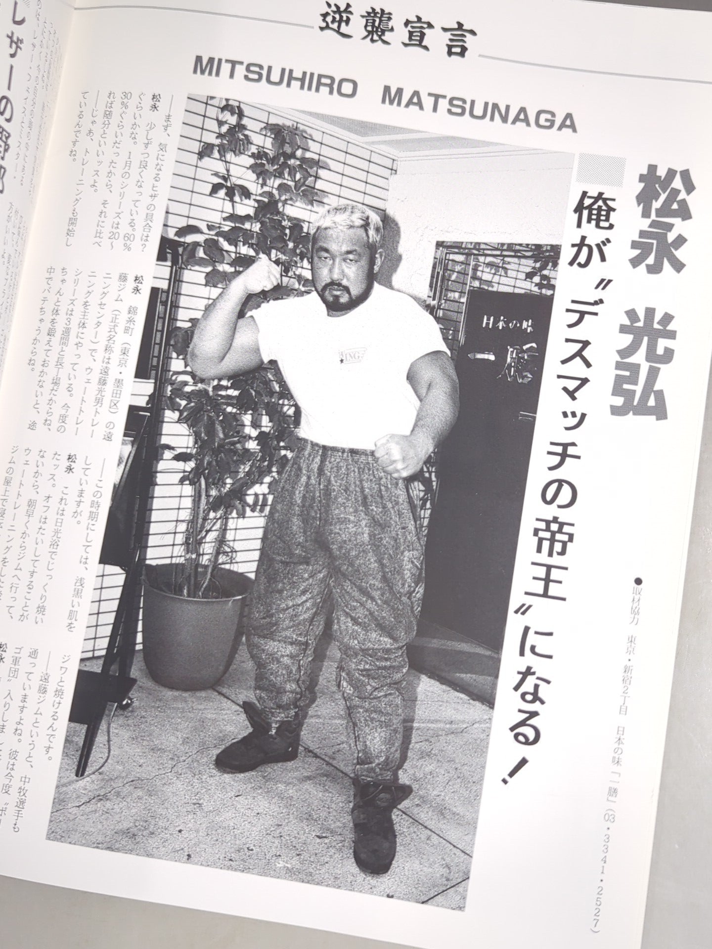 Wing Magazine Vol.1 1993