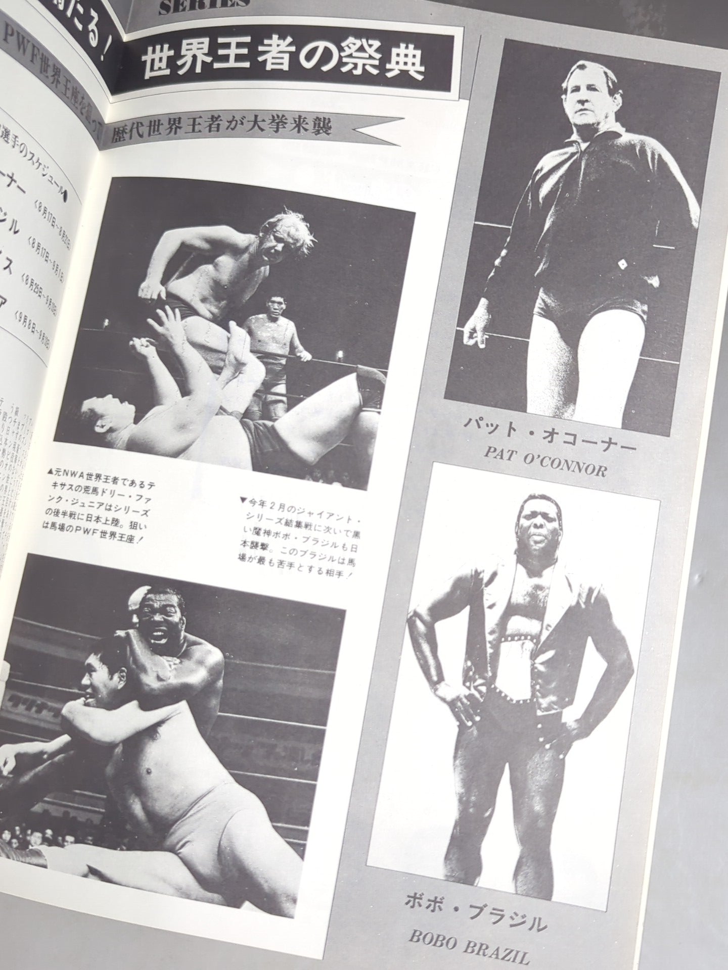 73 World Champion Series
