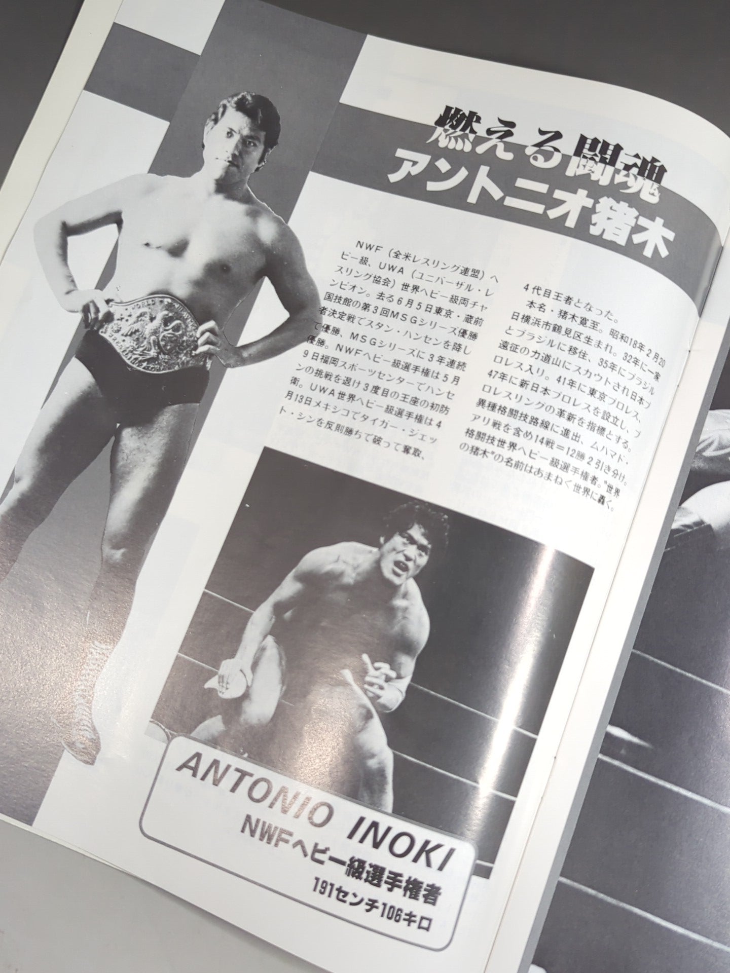80 Summer Fight Series