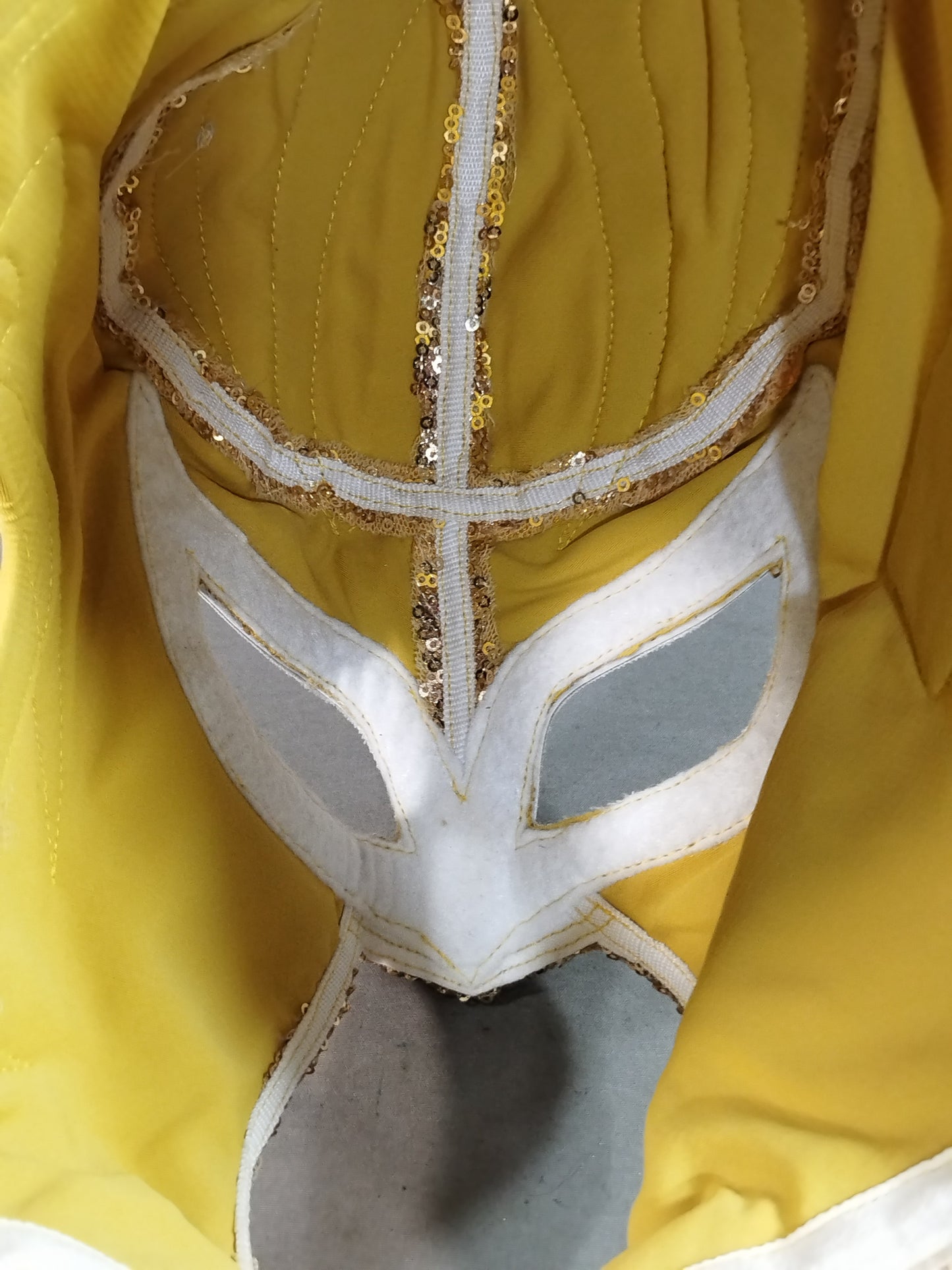 パンテーラ・ブランカ・ジュニア