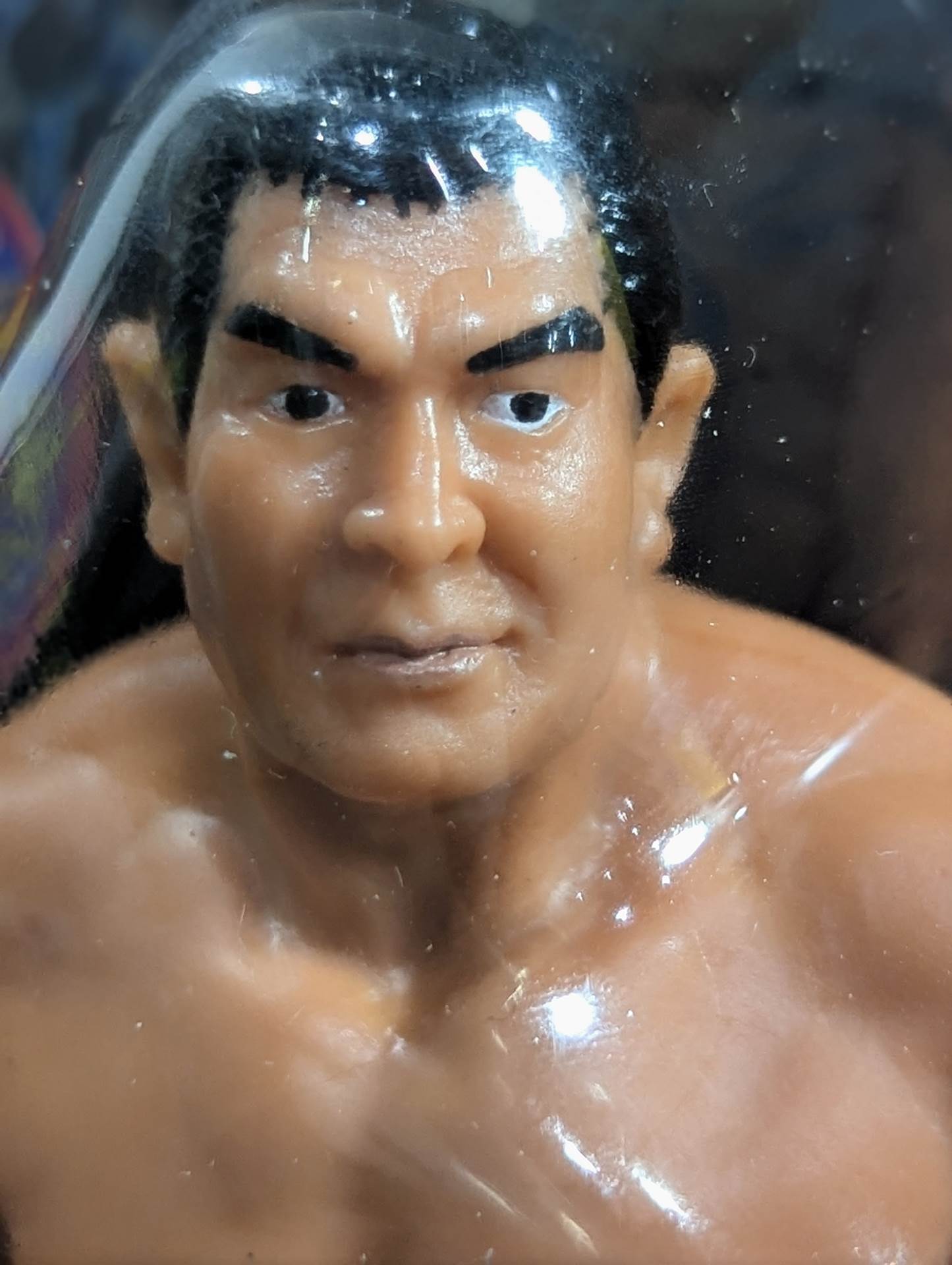 Seiji Sakaguchi