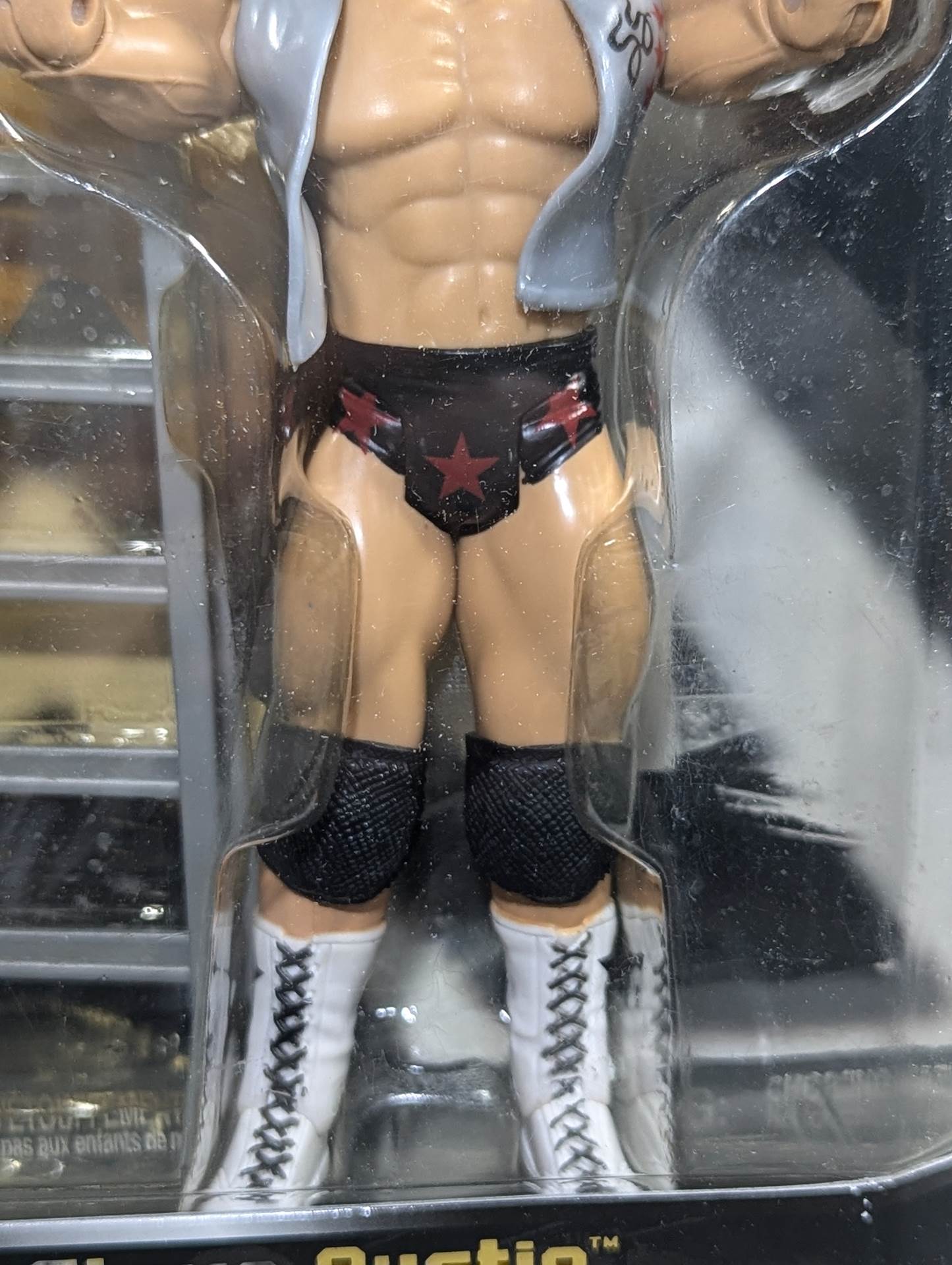 Hollywood Bronze (Steve Austin & Brian Pillman)