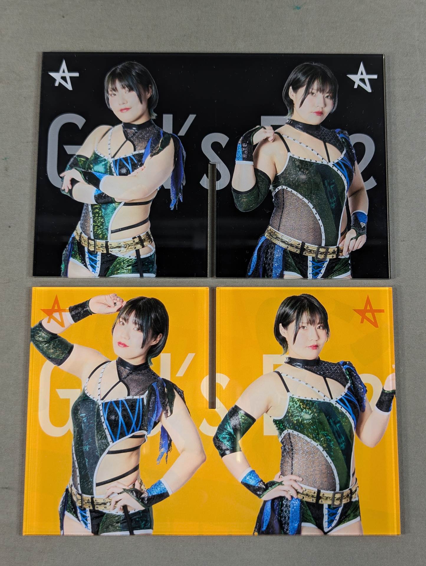 壮麗亜美 アクリルクロススタンド
