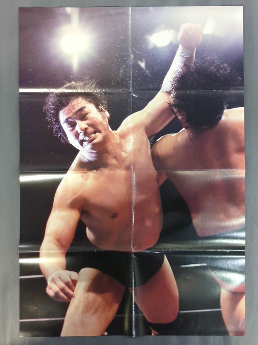 天龍源一郎 雑誌付録ポスター