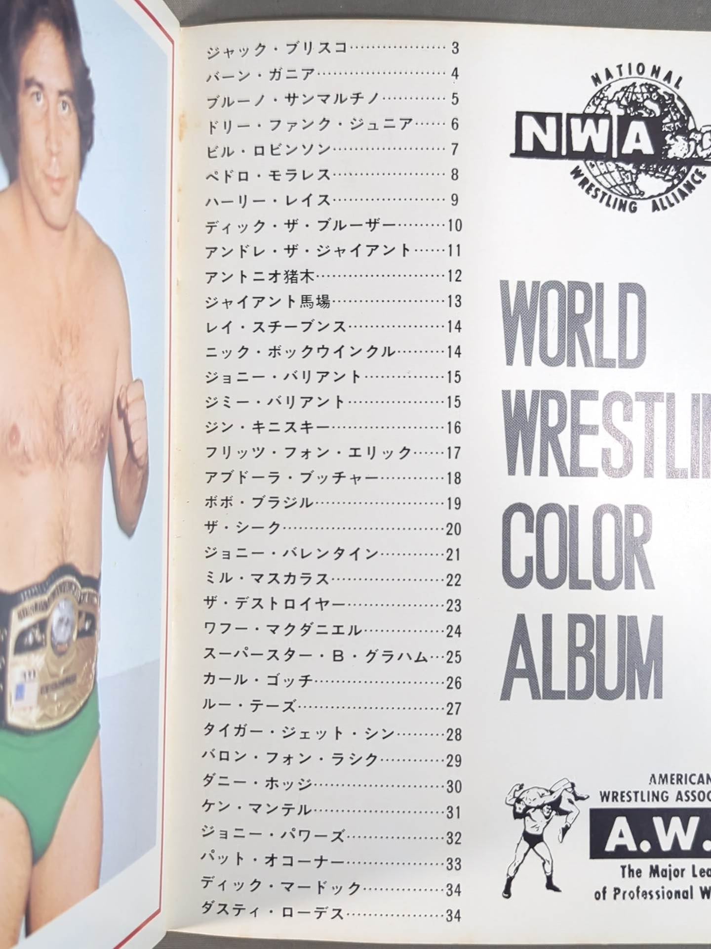 ワールド・レスリング・カラー・アルバム / WORLD WRESTLING COLOR ALBUM ゴング別冊付録1974.5