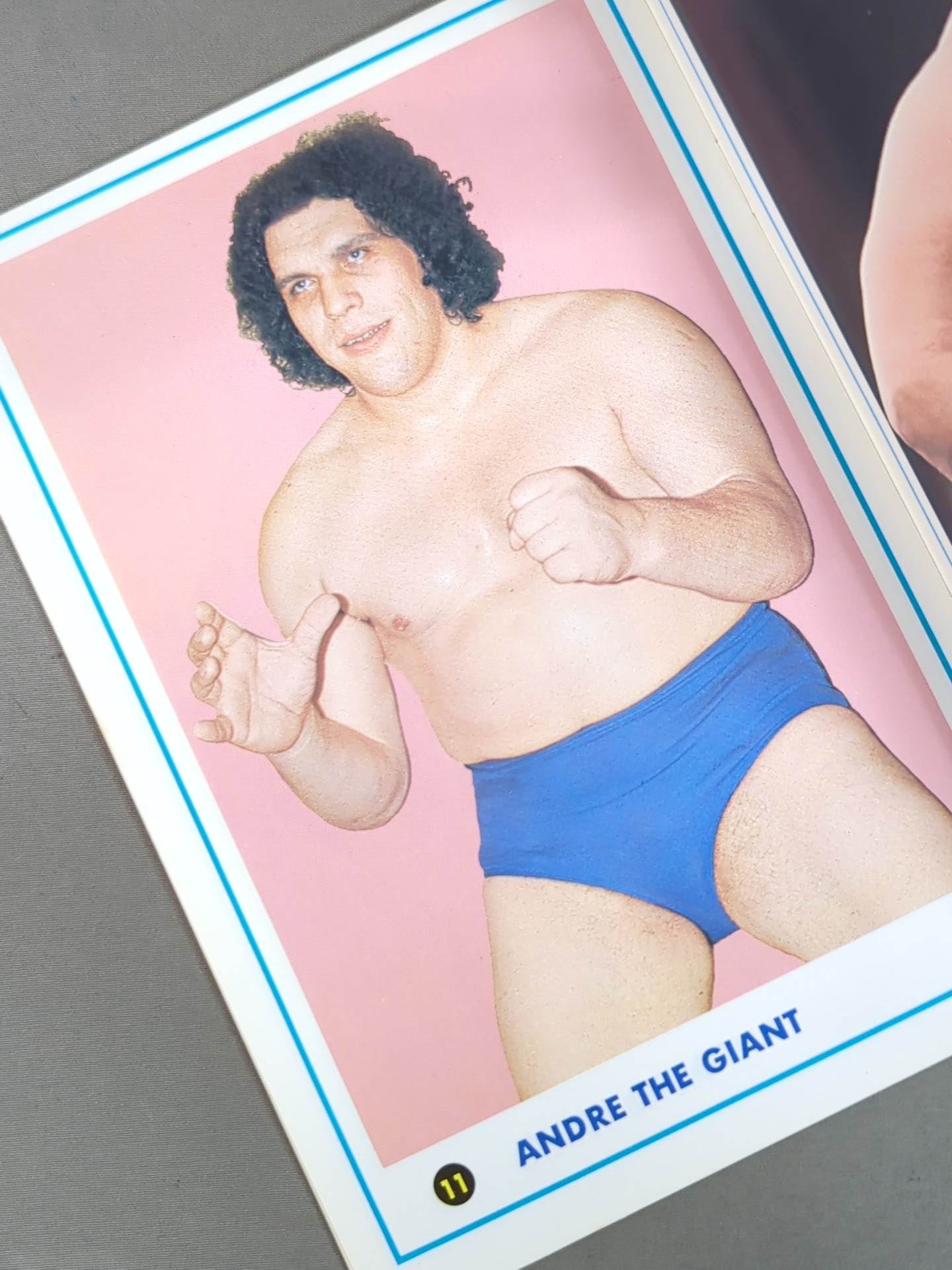 ワールド・レスリング・カラー・アルバム / WORLD WRESTLING COLOR ALBUM ゴング別冊付録1974.5