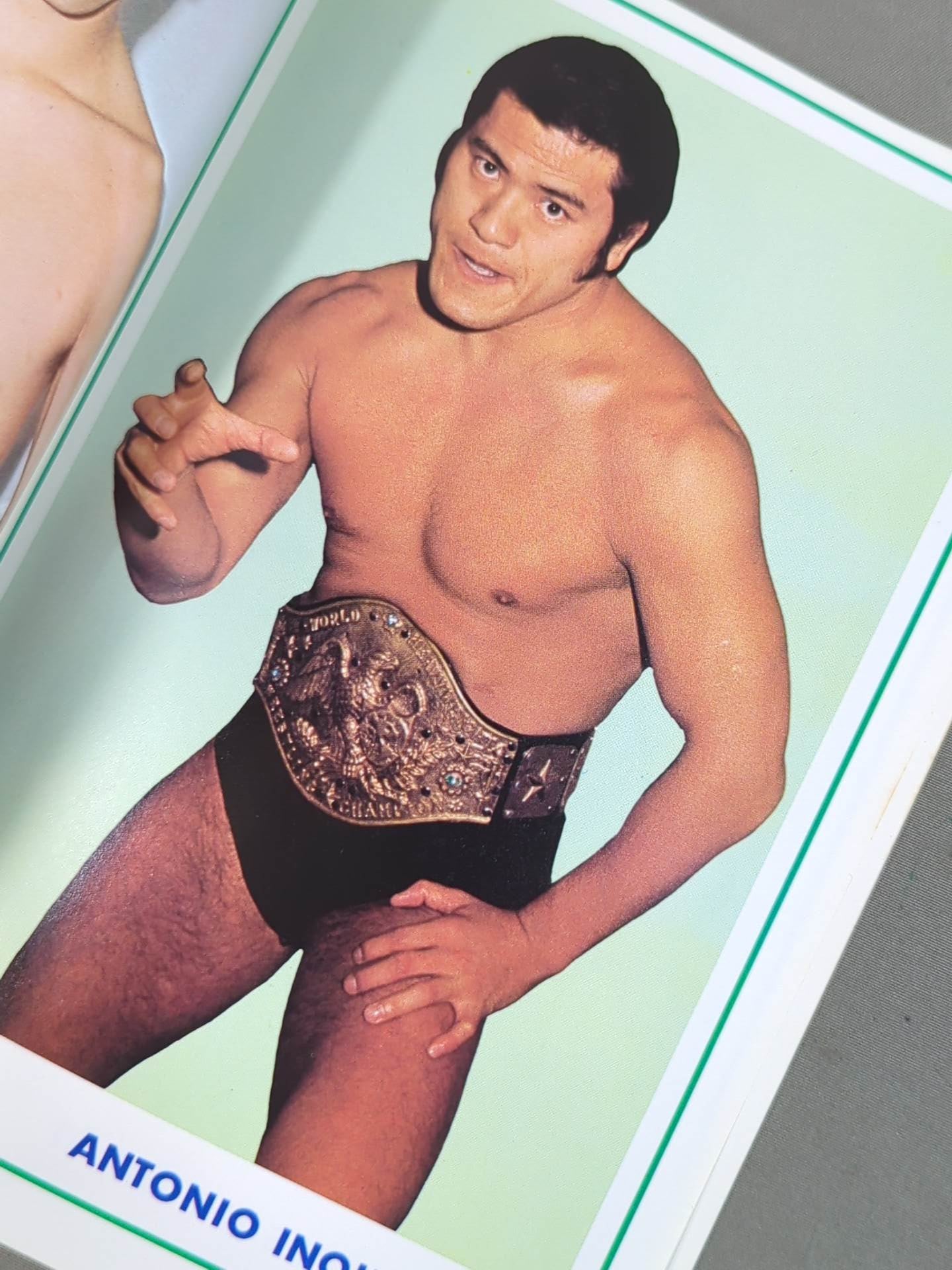 ワールド・レスリング・カラー・アルバム / WORLD WRESTLING COLOR ALBUM ゴング別冊付録1974.5