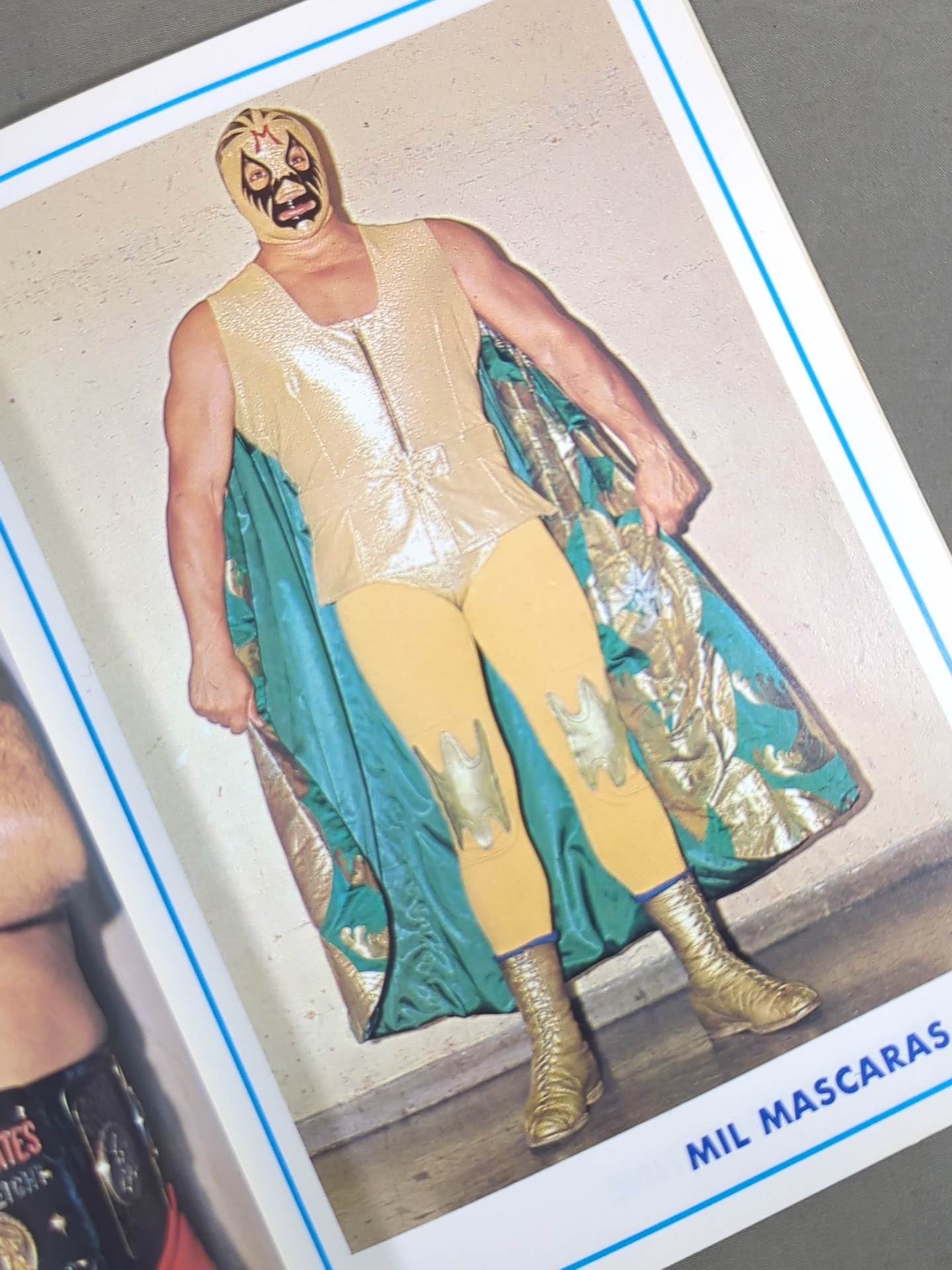 ワールド・レスリング・カラー・アルバム / WORLD WRESTLING COLOR ALBUM ゴング別冊付録1974.5