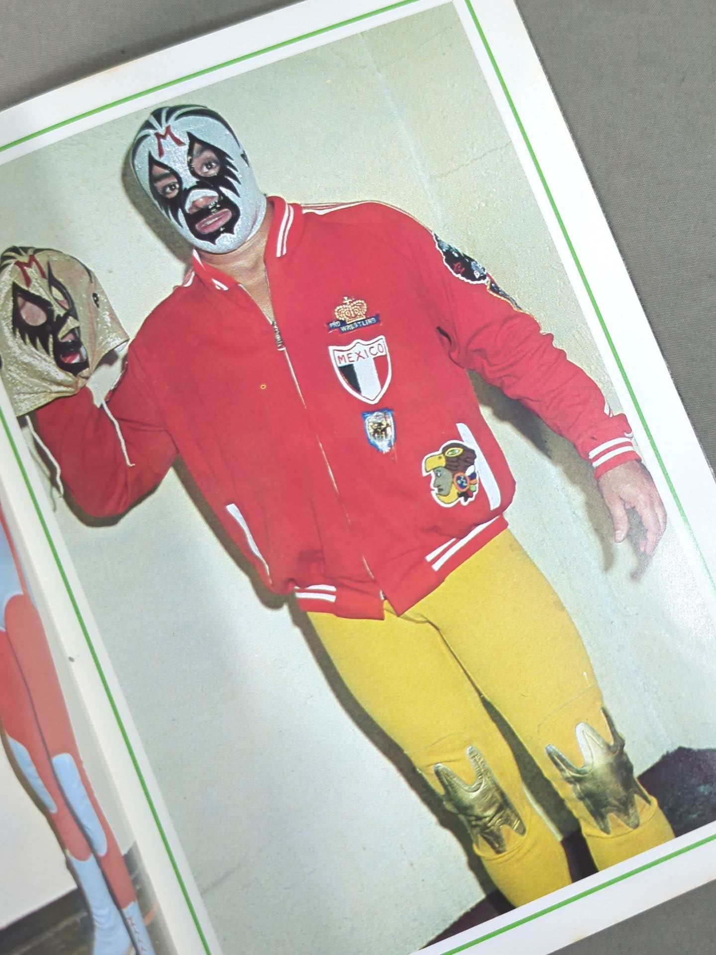 ミル・マスカラス カラーアルバム / MIL MASCARAS COLOR ALBUM(別冊ゴング9月号付録)