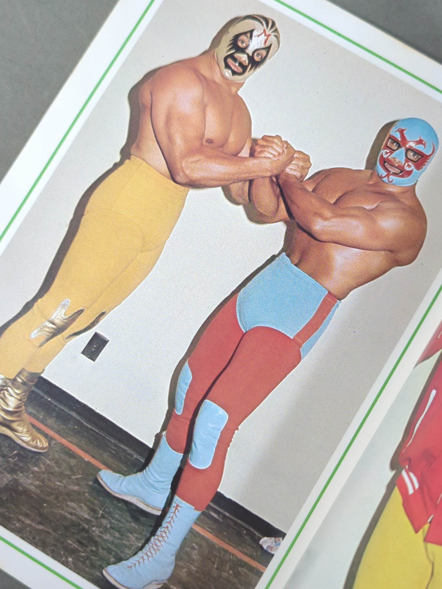 ミル・マスカラス カラーアルバム / MIL MASCARAS COLOR ALBUM(別冊ゴング9月号付録)