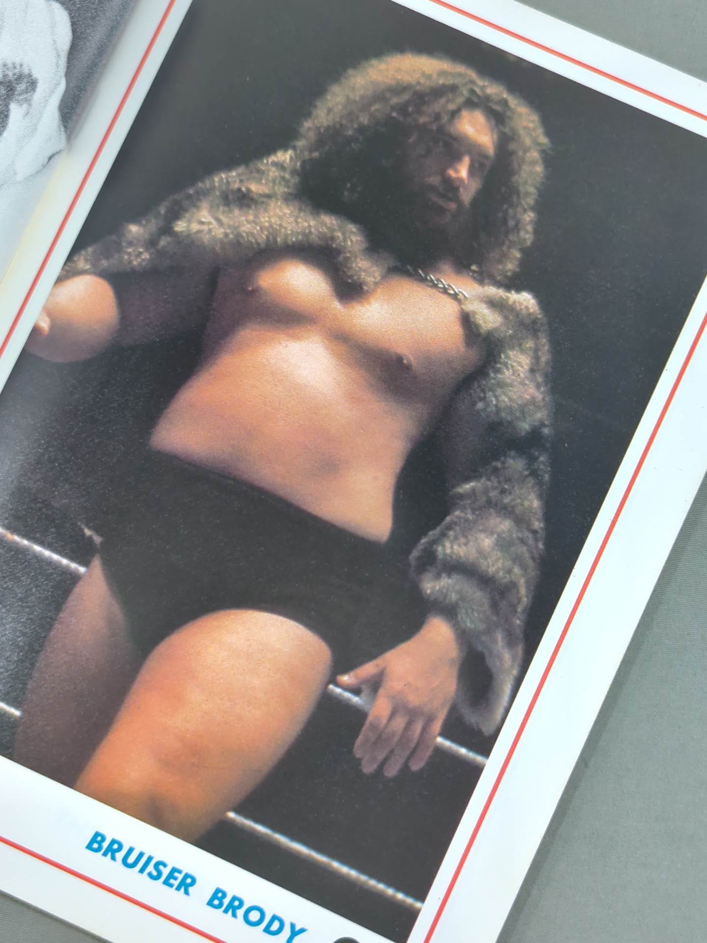 ワールド・レスリング・カラー・アルバム / WORLD WRESTLING COLOR ALBUM ゴング別冊付録1974.5