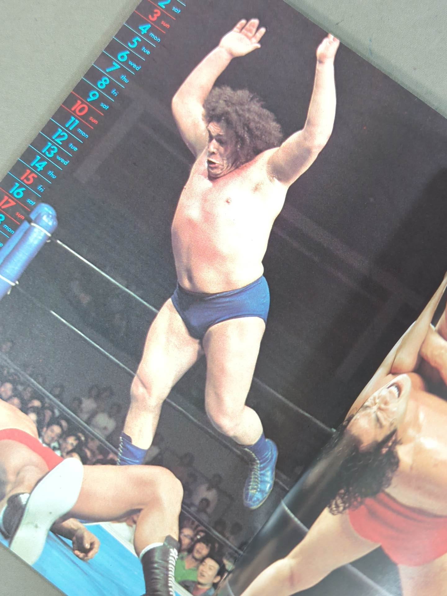 1978 プロレスカレンダー