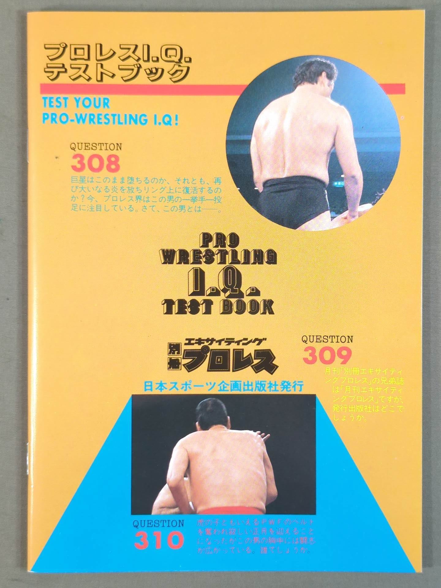 プロレス I.Q.テストブック / デスマッチ○時間無制限300本勝負+α
