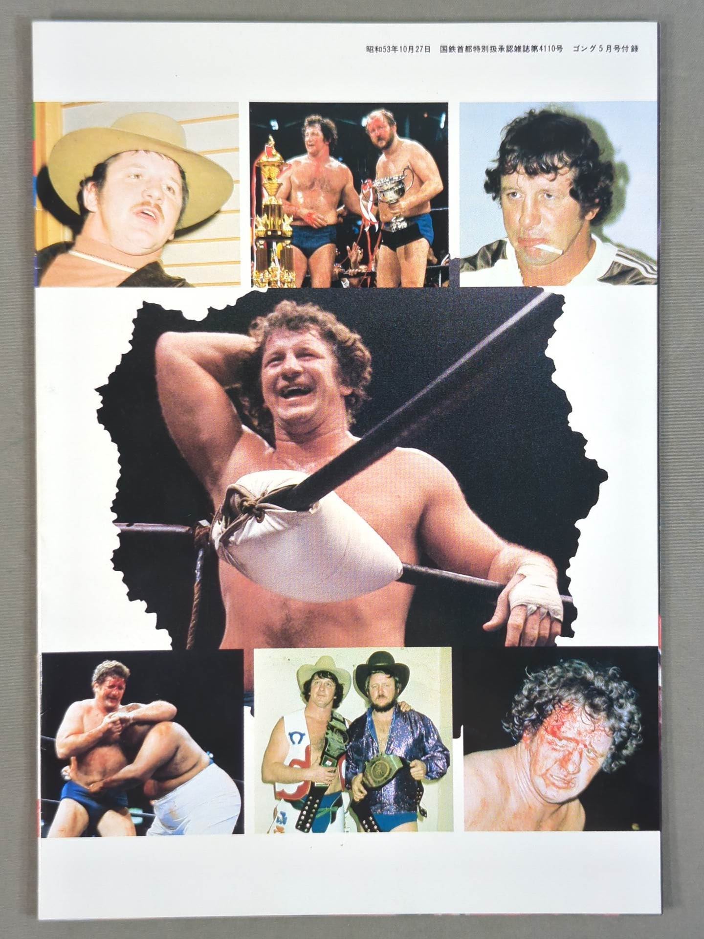 テリー・ファンク カラー・アルバム / TERRY FUNK COLOR ALBUM ゴング別冊付録1978.5