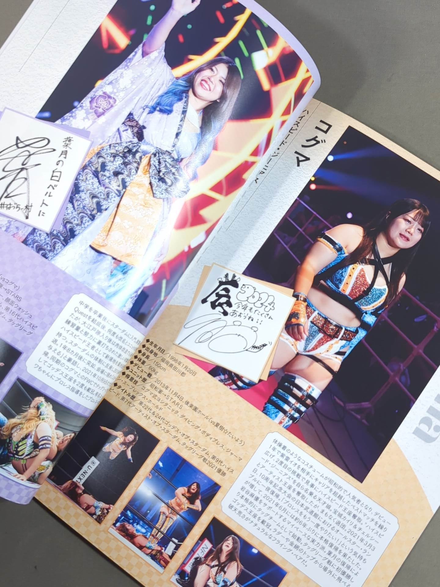 STARDOM OFFICIAL GUIDE BOOK Vol.150