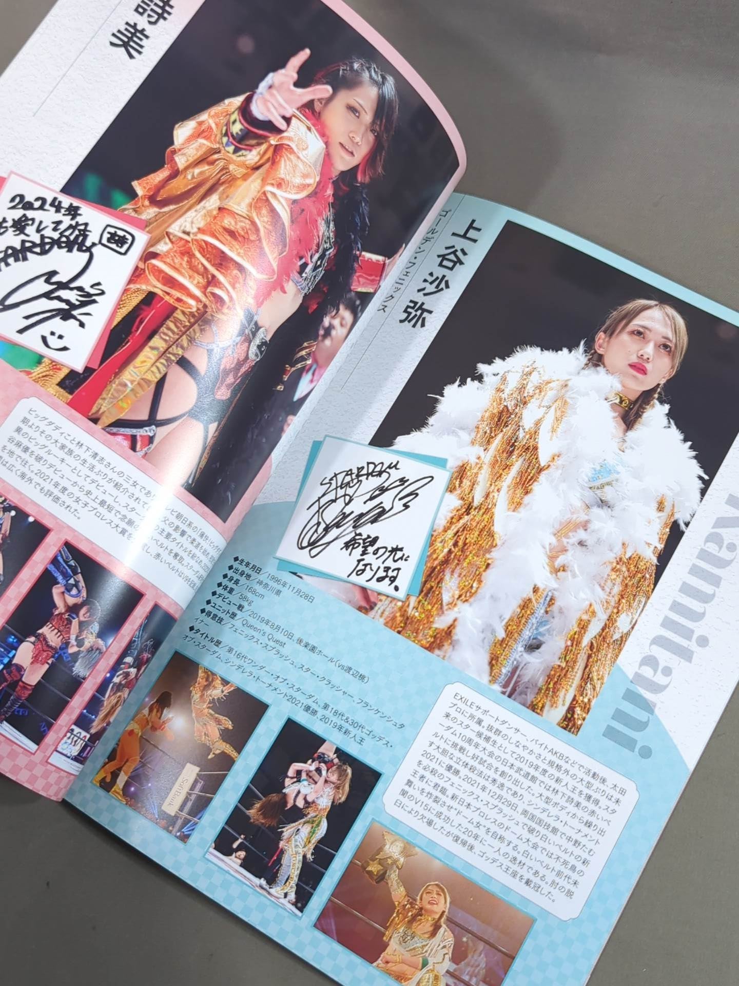 STARDOM OFFICIAL GUIDE BOOK Vol.150