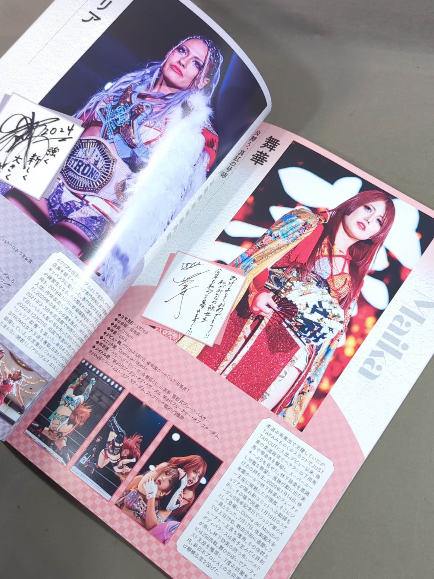 STARDOM OFFICIAL GUIDE BOOK Vol.150