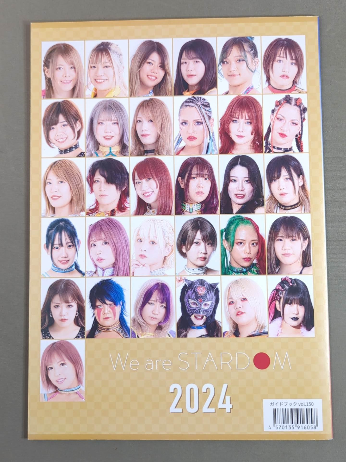 STARDOM OFFICIAL GUIDE BOOK Vol.150