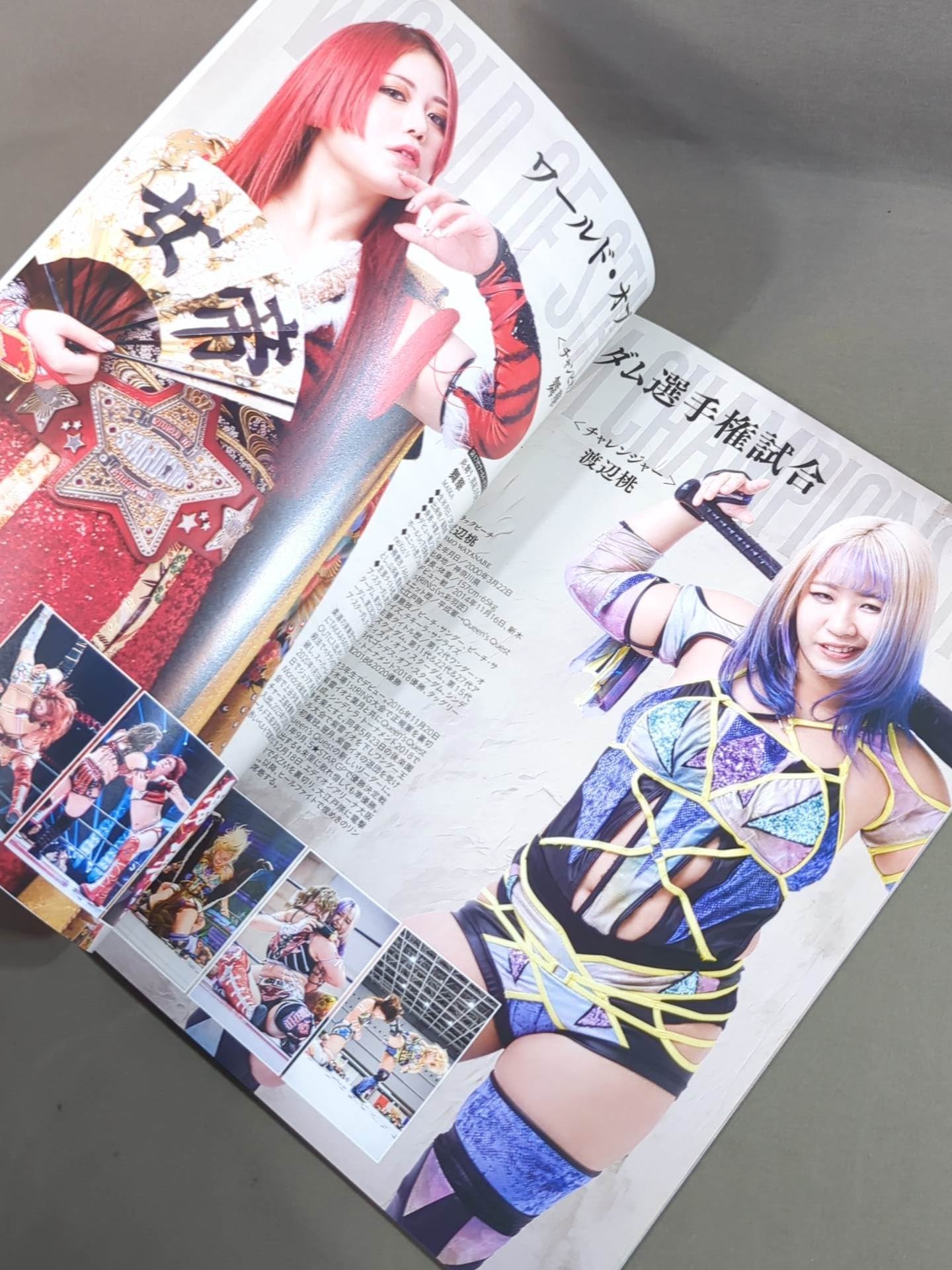 STARDOM OFFICIAL GUIDE BOOK Vol.151