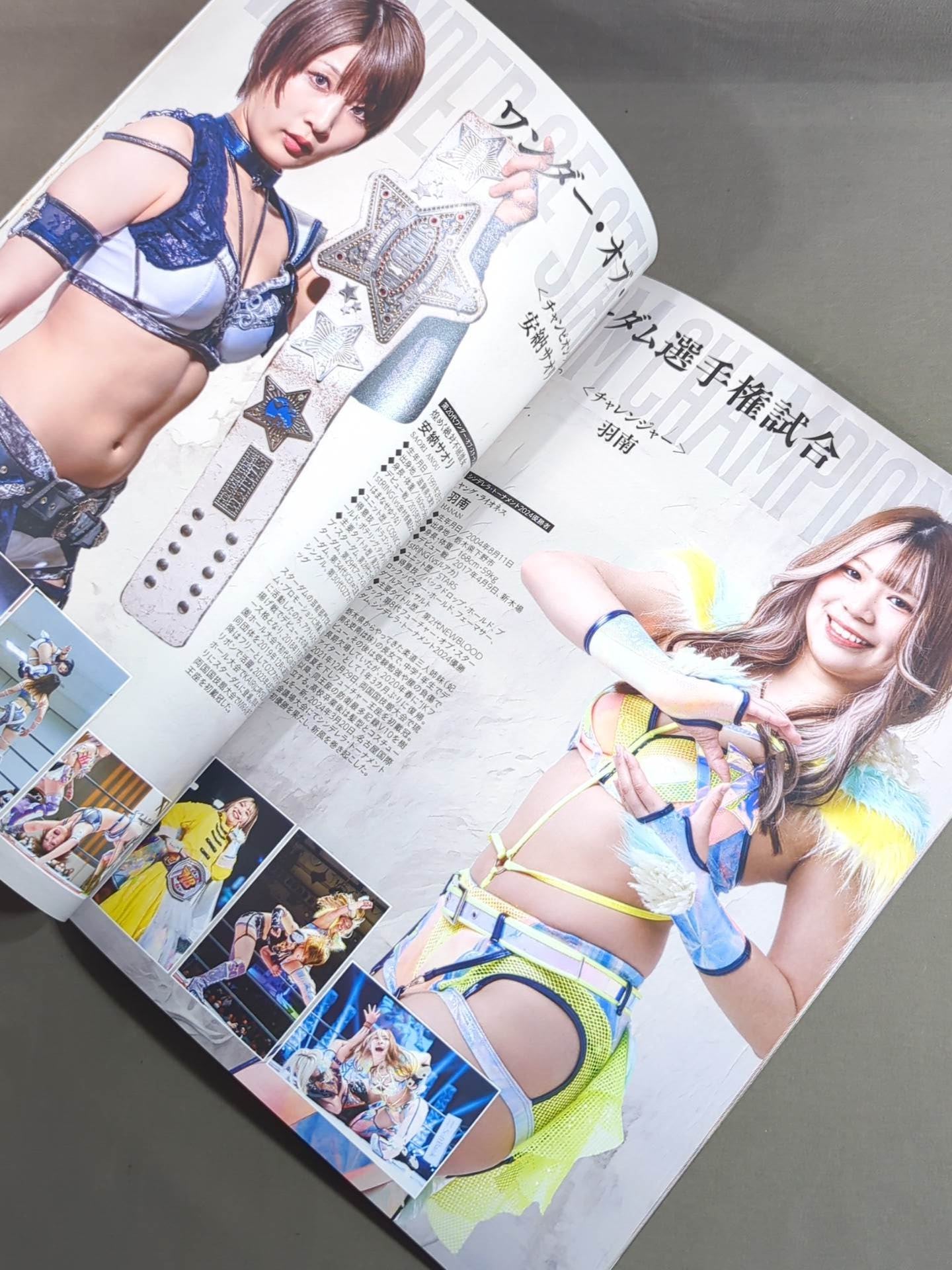 STARDOM OFFICIAL GUIDE BOOK Vol.151