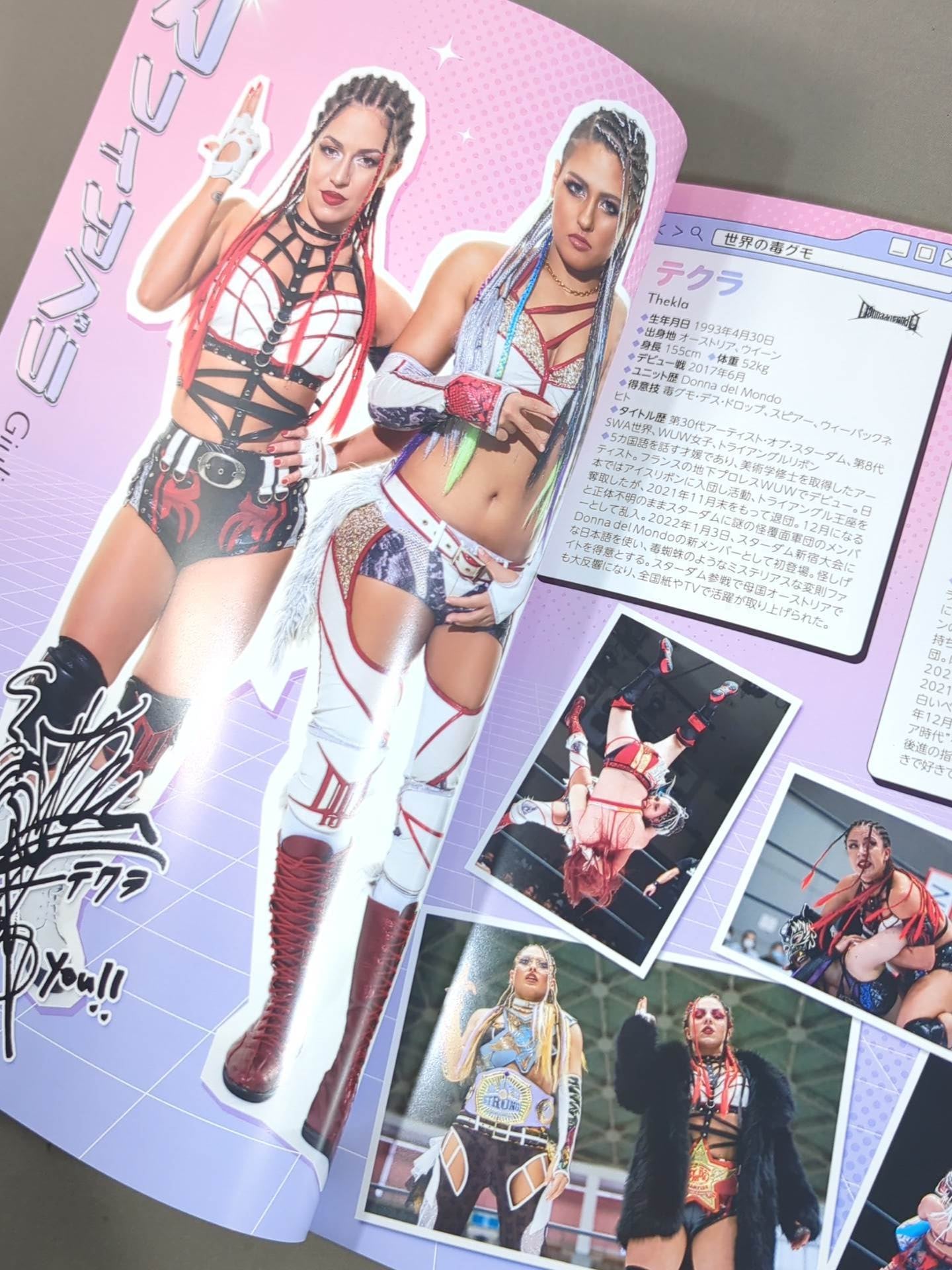 STARDOM OFFICIAL GUIDE BOOK Vol.149