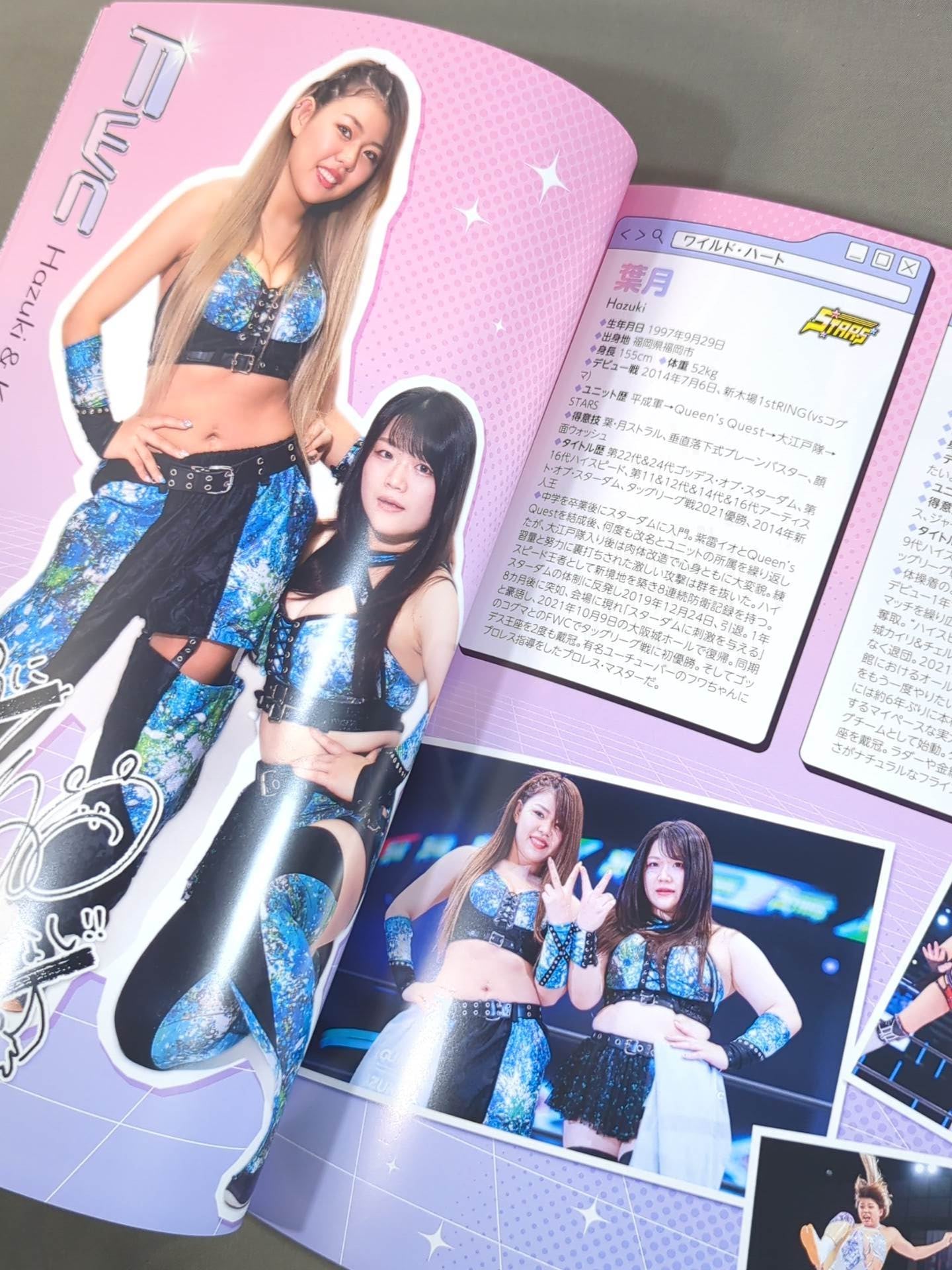 STARDOM OFFICIAL GUIDE BOOK Vol.149