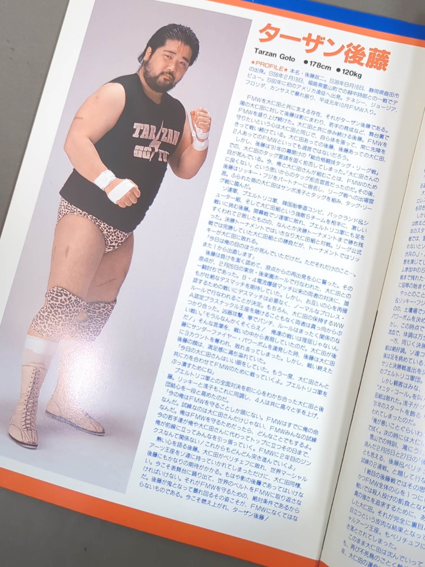 FMW HEADLINE OFFICIAL PROGRAM No.10