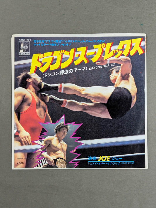 Dragon Suplex (Dragon Fujinami theme)