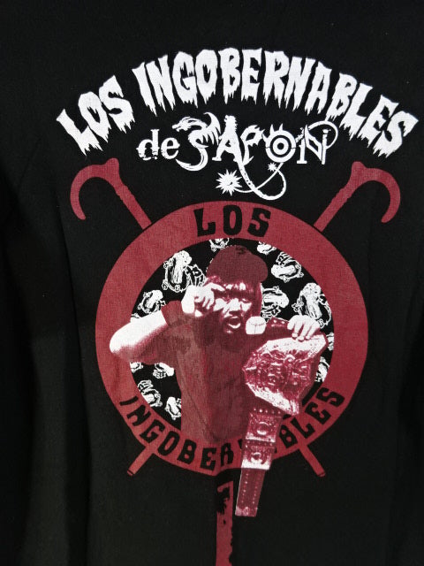 Hiroshima Toyo Carp × Tetsuya Naito AKAHERU de JAPON Collaboration T-Shirt (2) (Black)