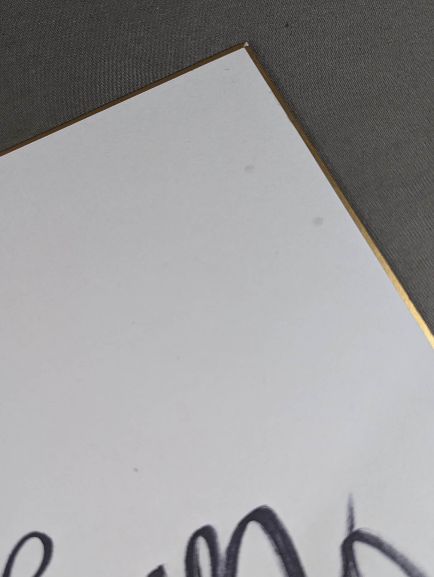 タイガーマスク(2代目・専用色紙)