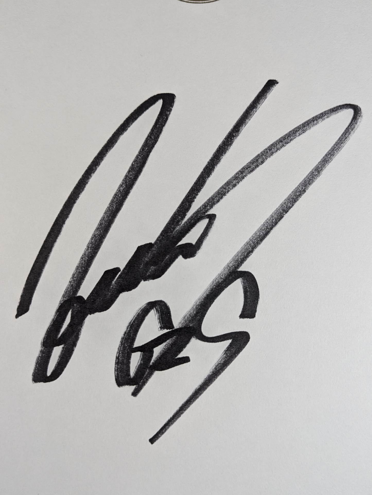 KENTA(ライオンマーク色紙)