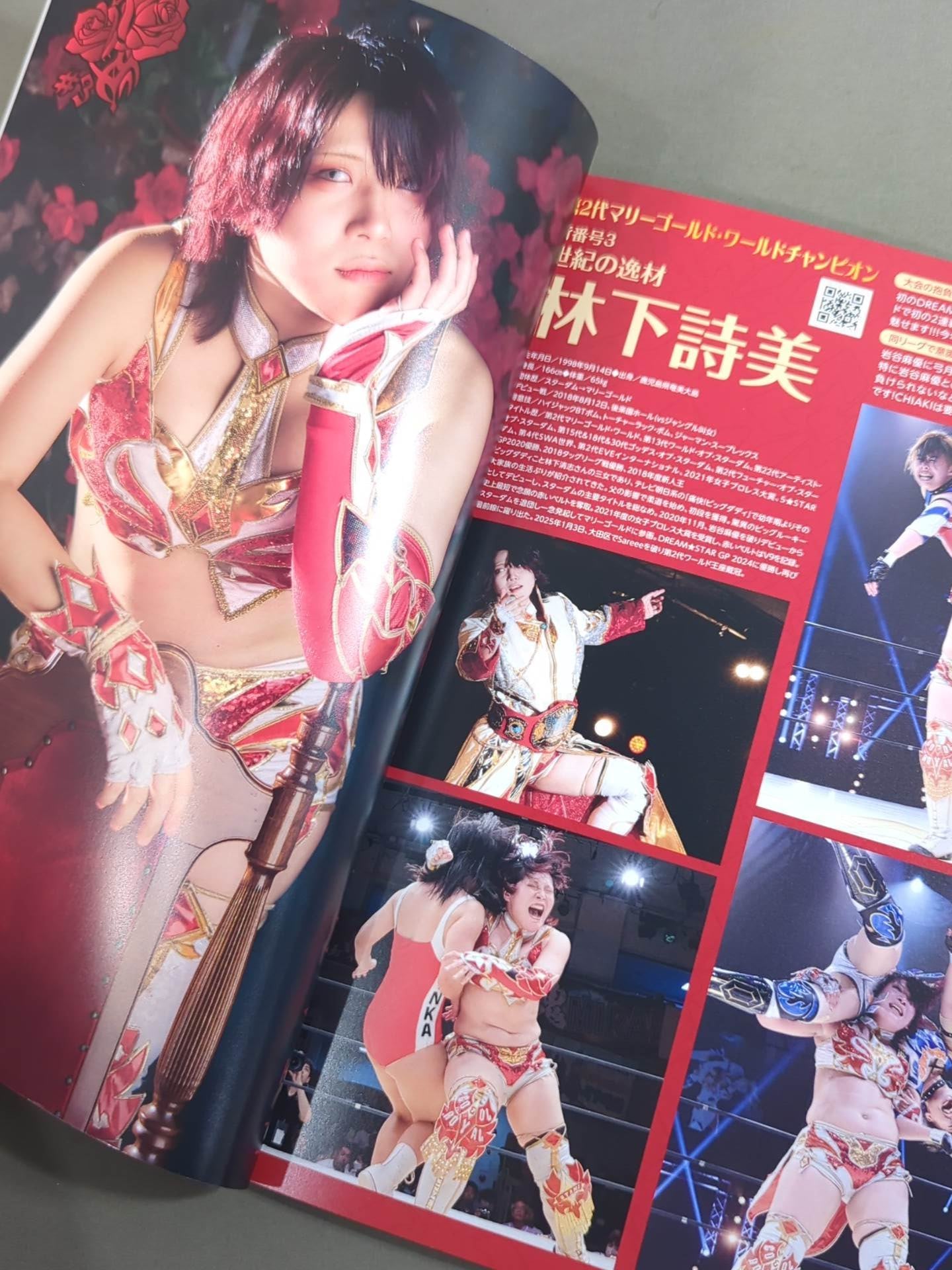 MARIGOLD GUIDE BOOK Vol.13