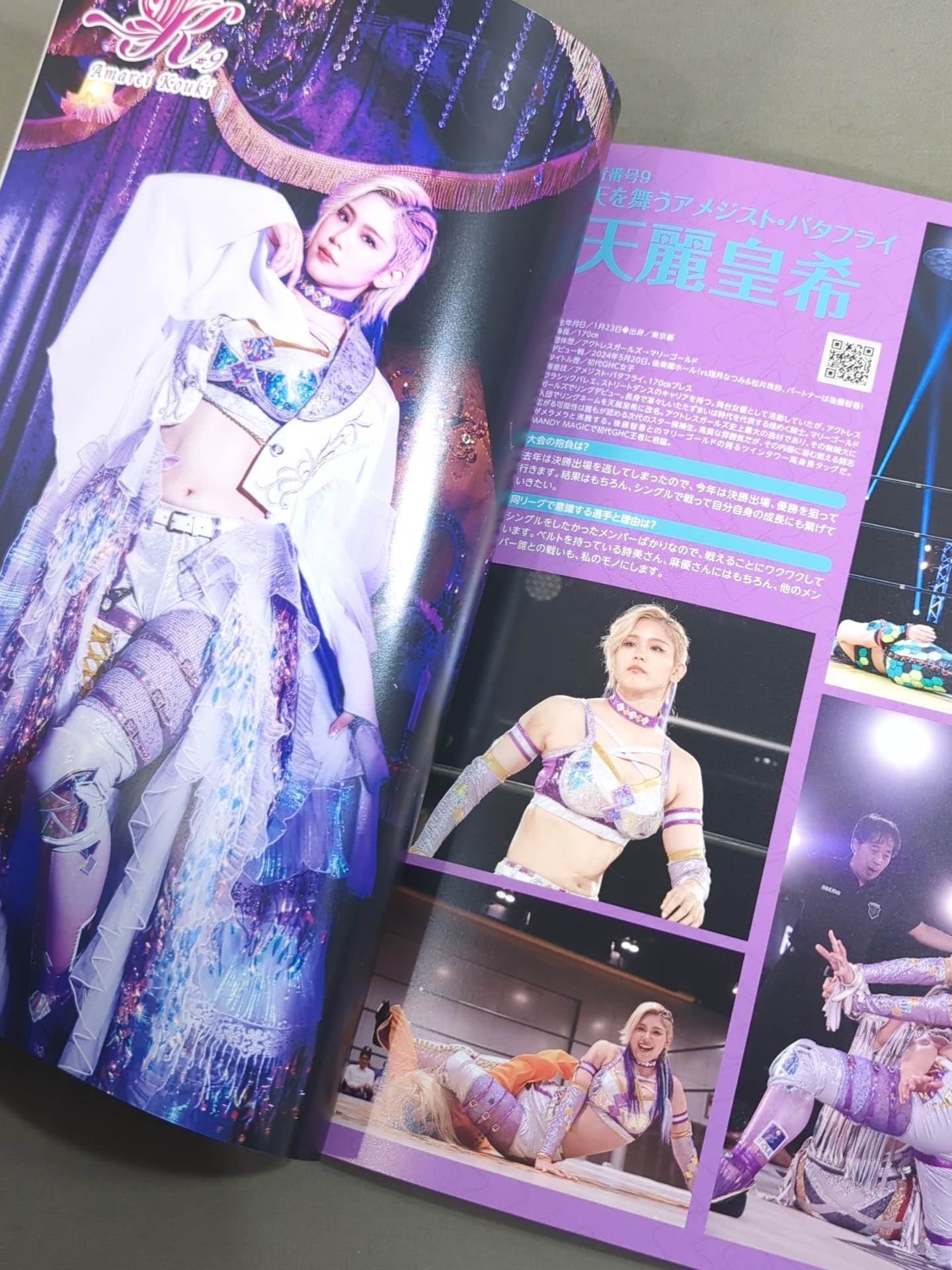 MARIGOLD GUIDE BOOK Vol.13