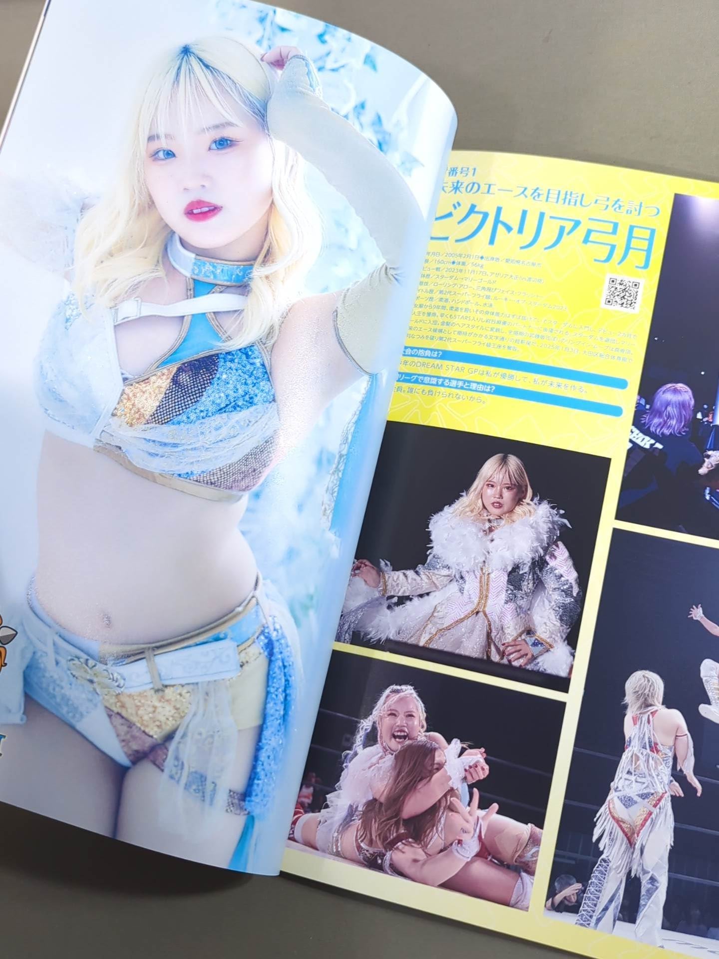 MARIGOLD GUIDE BOOK Vol.13